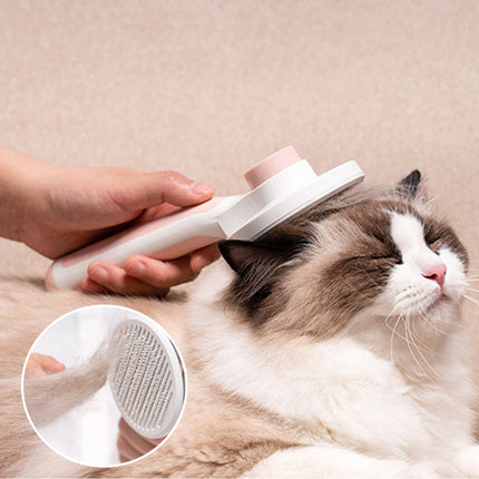 EDA Cat Hair Cleaner brush