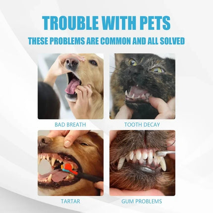 Cats Dogs Toothpaste