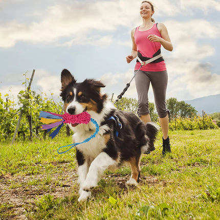 Dog Training Anti-tear Pulling toy