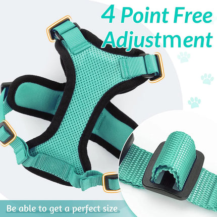 Cat Harness for Walking