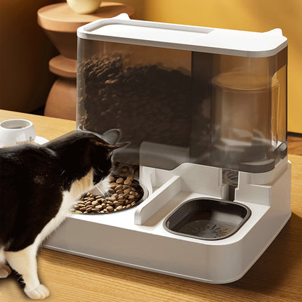 2 In 1 Cat Feeder And Water
