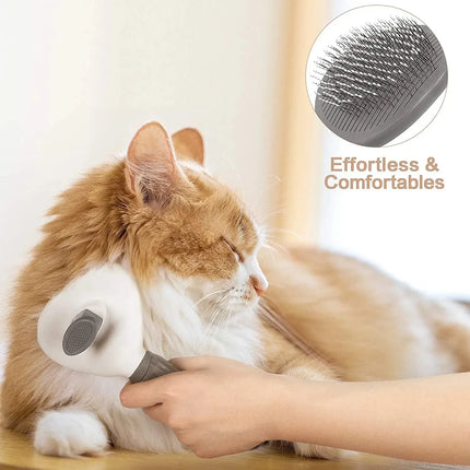 EDA Dog/cat Brush (Hair Remover Brush)