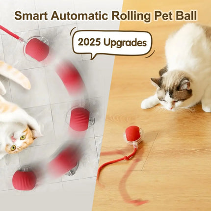 Cat Interactive Ball toy