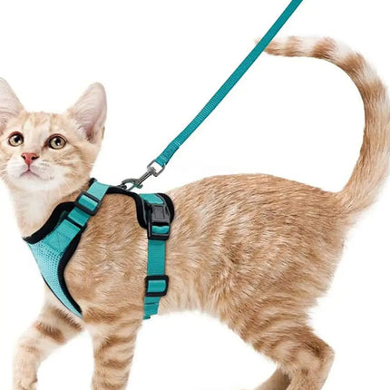 Cat Harness for Walking