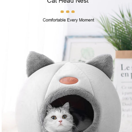 Cat Head Shape