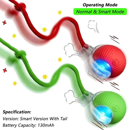Cat Interactive Ball toy