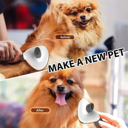 EDA Dog/cat Brush (Hair Remover Brush)