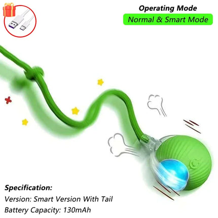 Cat Interactive Ball toy