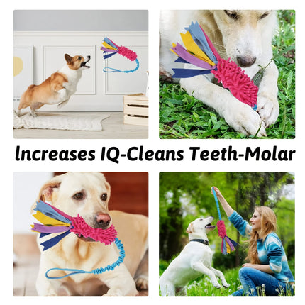 Dog Training Anti-tear Pulling toy