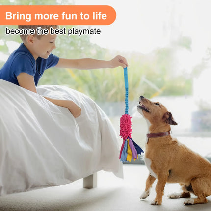 Dog Training Anti-tear Pulling toy