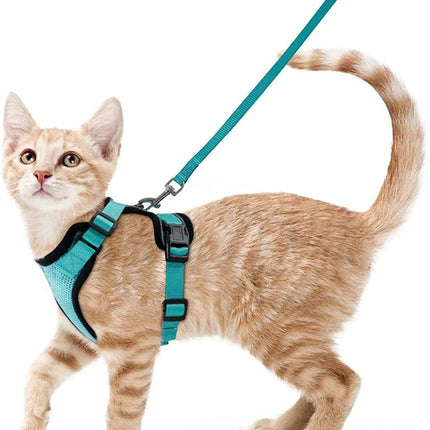 Cat Harness for Walking