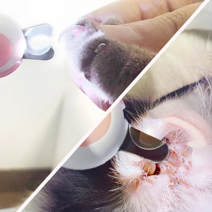 EDA Nail Clipper Cutter cat/dog (+LED light)