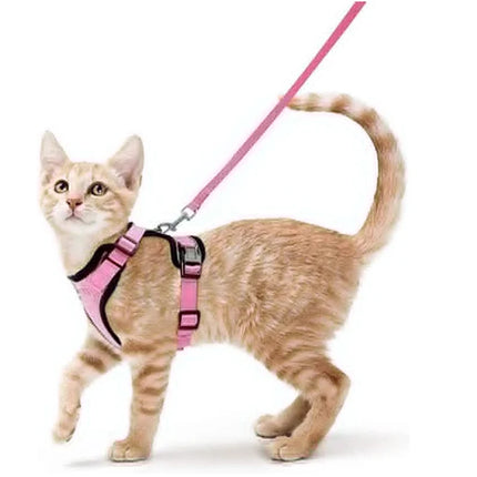Cat Harness for Walking
