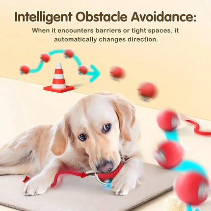 Cat Interactive Ball toy