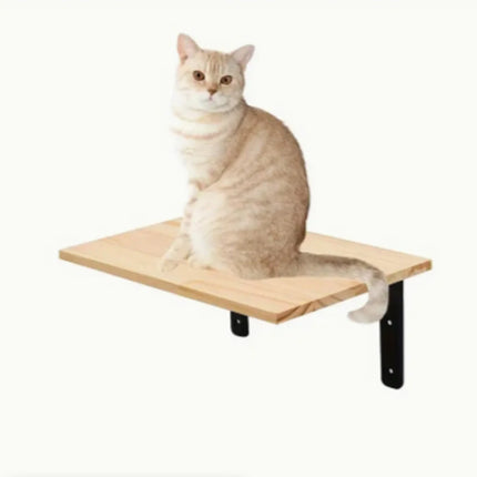 Wall-mounted Cat Climbing