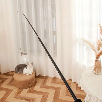 Cat Rod