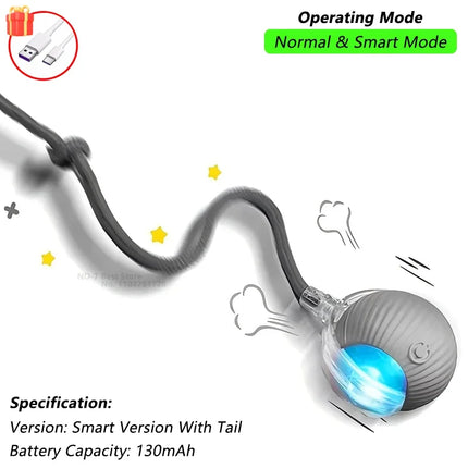 Cat Interactive Ball toy