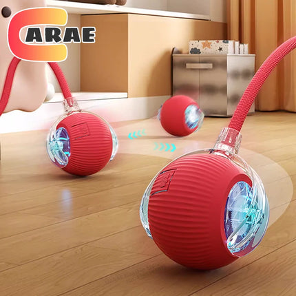 Cat Interactive Ball toy