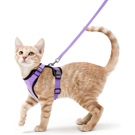 Cat Harness for Walking