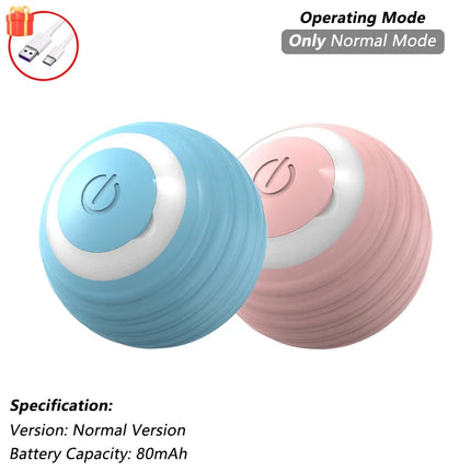 Cat Interactive Ball toy