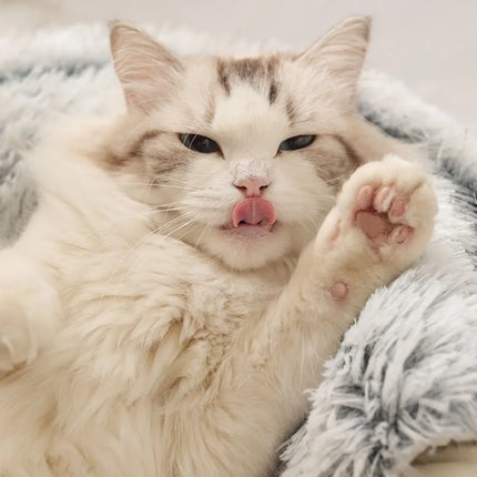 Winter Long Plush Cat/Dog