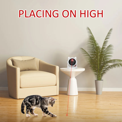 Cat Laser toy
