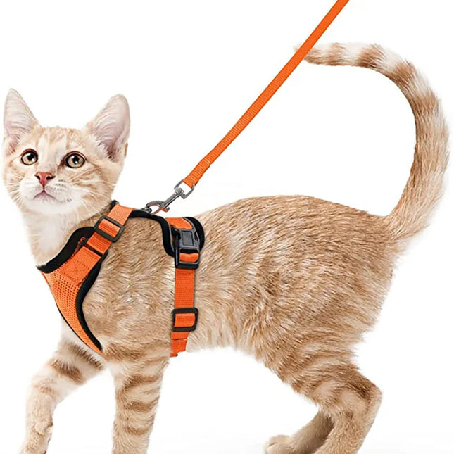 Cat Harness for Walking