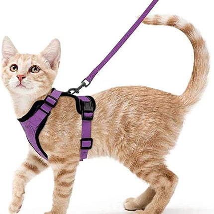Cat Harness for Walking