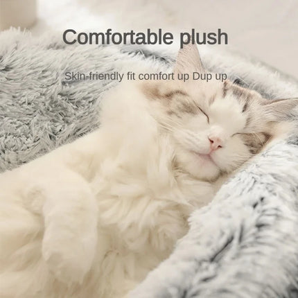 Plush Pet Cat Bed