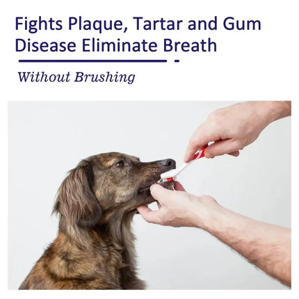 Cats Dogs Toothpaste