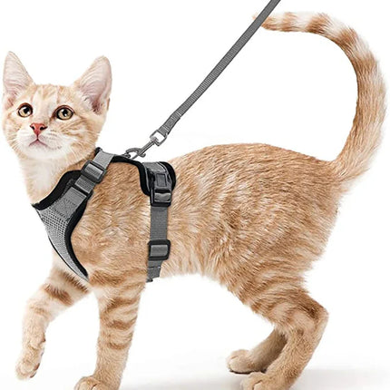 Cat Harness for Walking