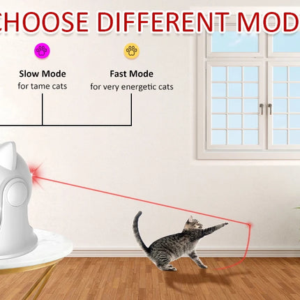 Cat Laser toy