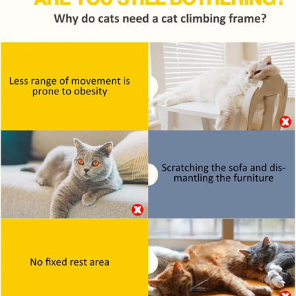 Cat Tower