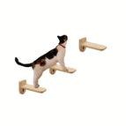 3pcs  pedal / CHINA