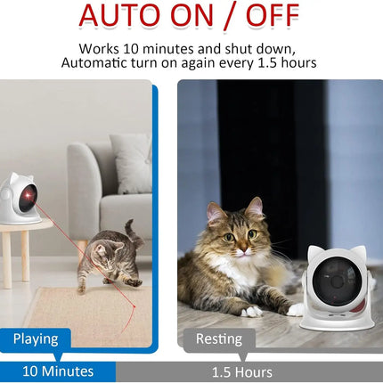 Cat Laser toy