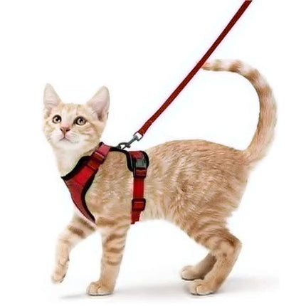 Cat Harness for Walking