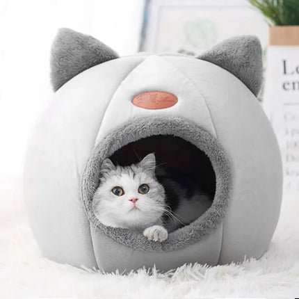 Cat Head Shape