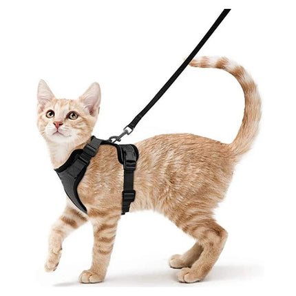 Cat Harness for Walking