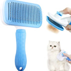 Square Blue
