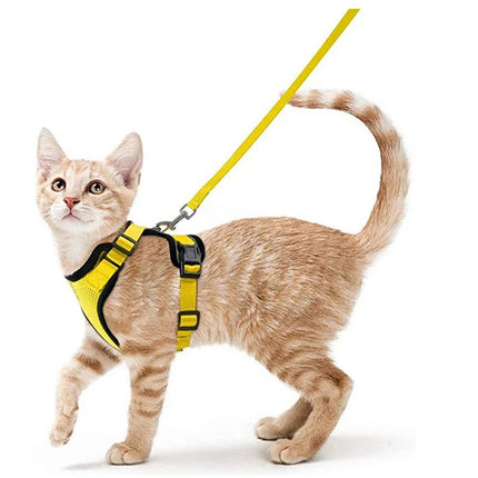Cat Harness for Walking