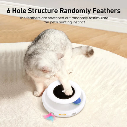 ROJECO 2 in 1 Smart Cat Toy